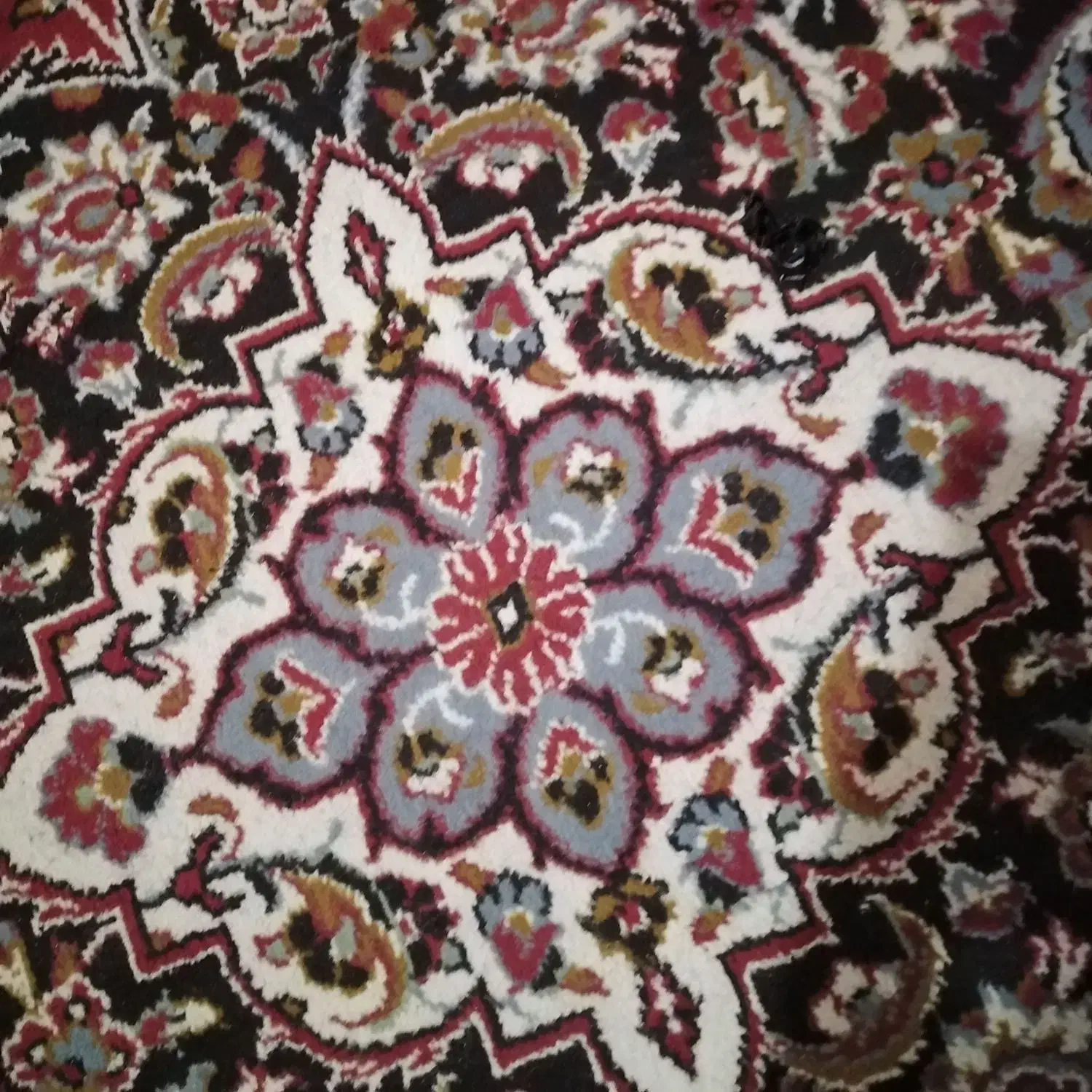 فرش|فرش|خورموج, |دیوار