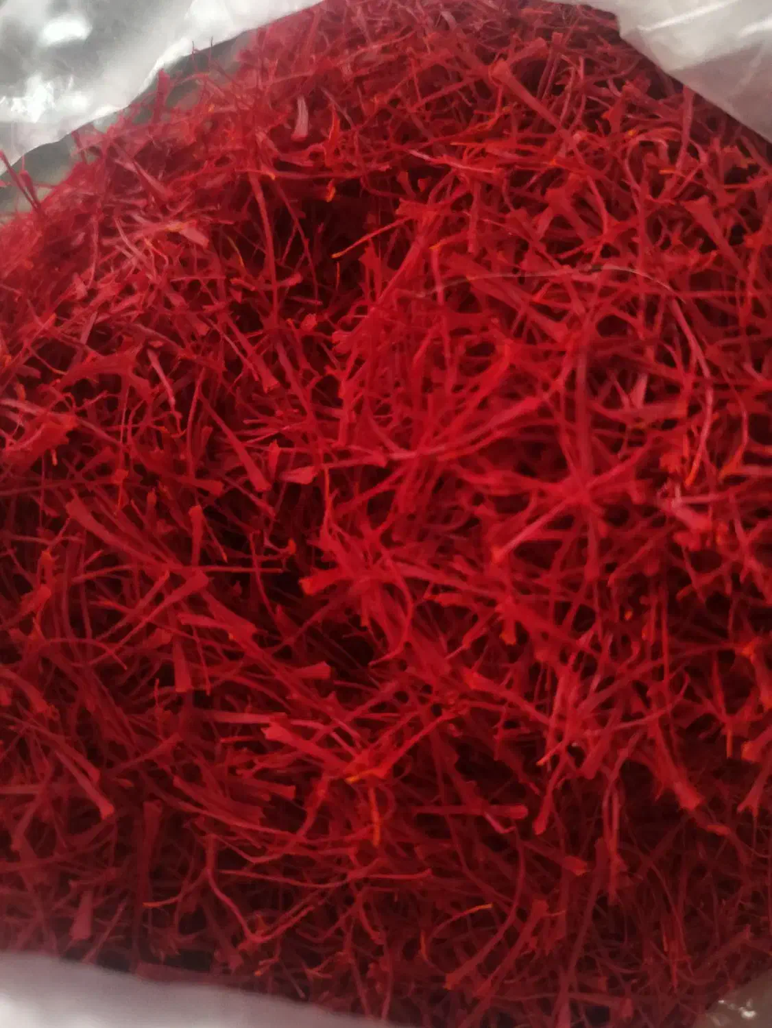 فروش زعفران نگین پرسی|عمده‌فروشی|تربت‌حیدریه, آغوی|دیوار