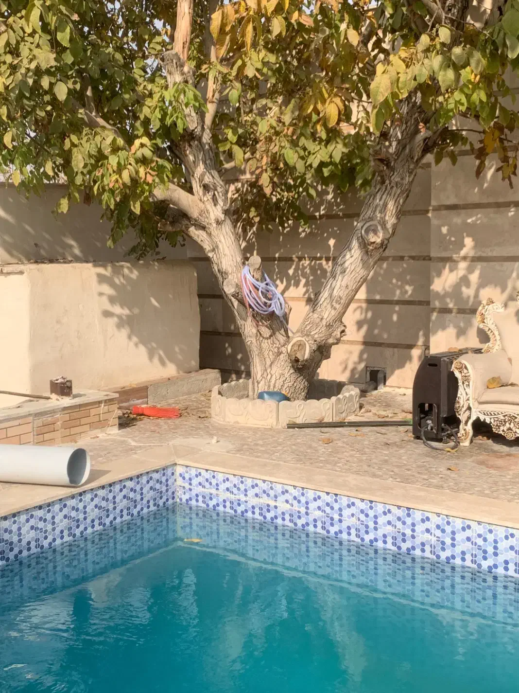 فروش چوب درخت گردو|عمدهفروشی|شهریار, دهشاد بالا|دیوار