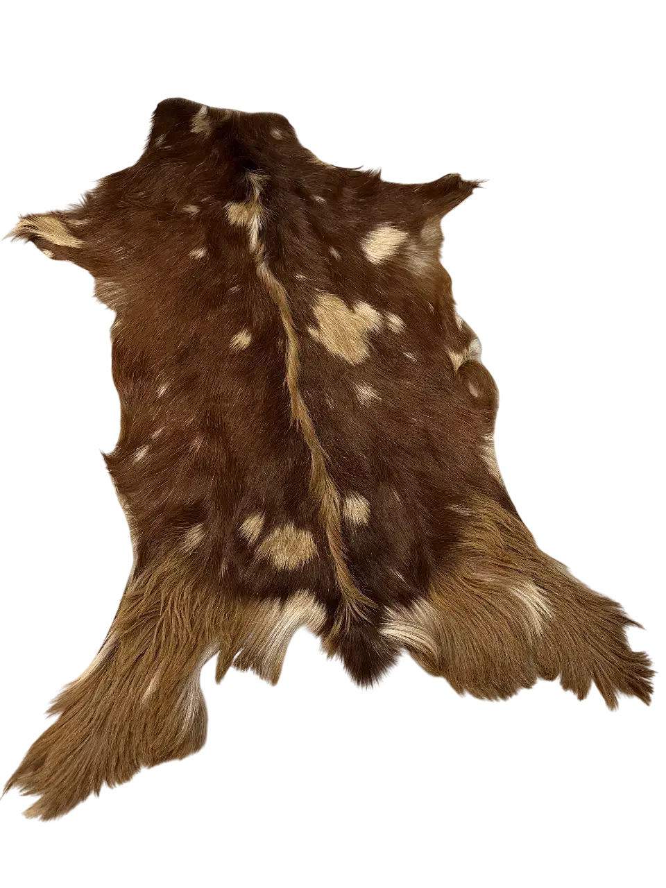 پوست طبیعی بز دباغی شده اصل با کیفیت|صنایع دستی و سایر لوازم تزئینی|کرج, ساماندهی|دیوار