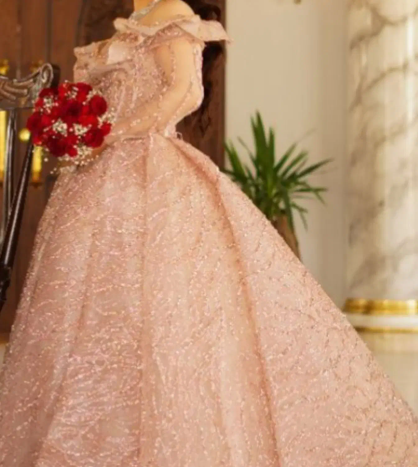 لباس عروس لباس نامزدی لباس مجلسی لباس عروس رنگی|لباس|تهران, مسعودیه|دیوار