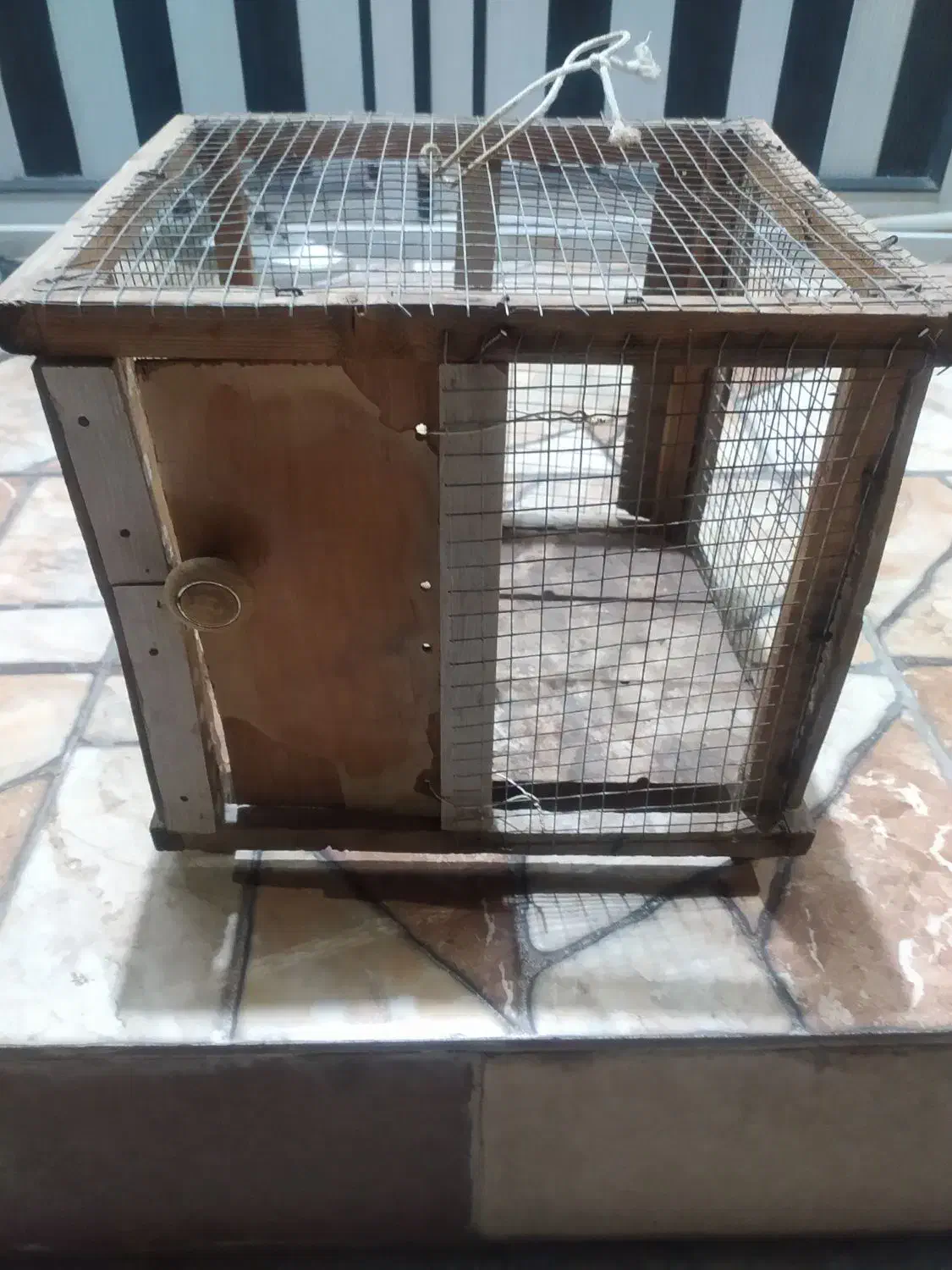 قفس پرنده|لوازم جانبی حیوانات|جهرم, |دیوار