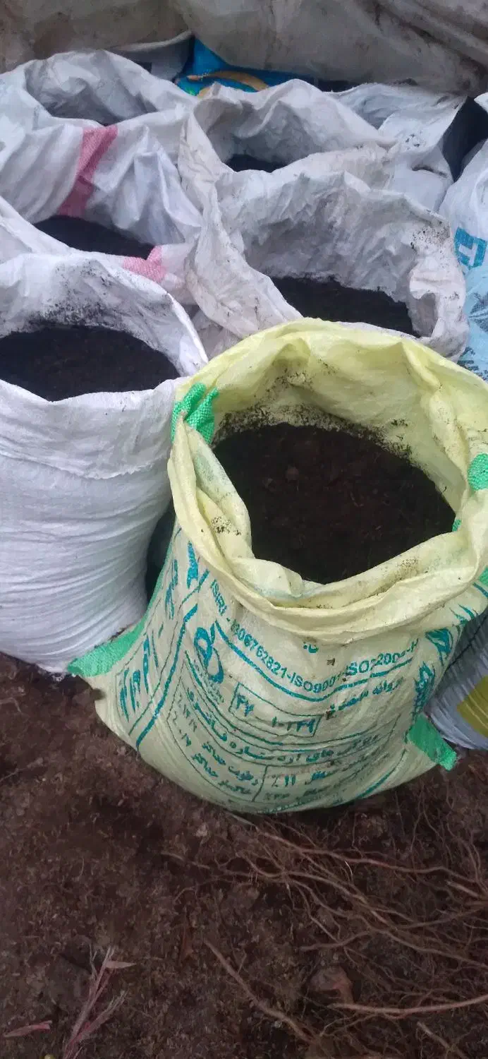 کود گاوی|خدمات باغبانی و درختکاری|فومن, |دیوار