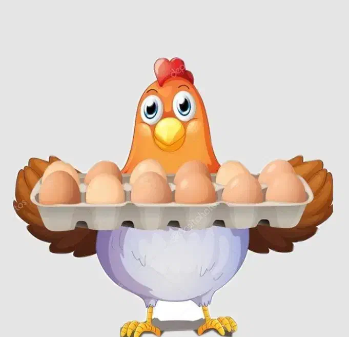 فروش تخم مرغ با قیمت مناسب|عمدهفروشی|ری, سیزده آبان|دیوار