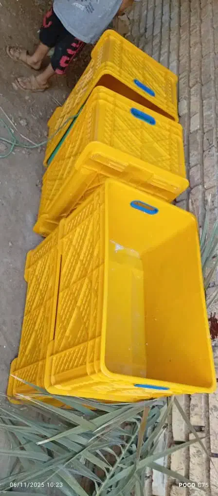 سبدنو برای ماهی فروشی|ظروف نگهدارنده، پلاستیکی، یک‌بارمصرف|آبادان, |دیوار