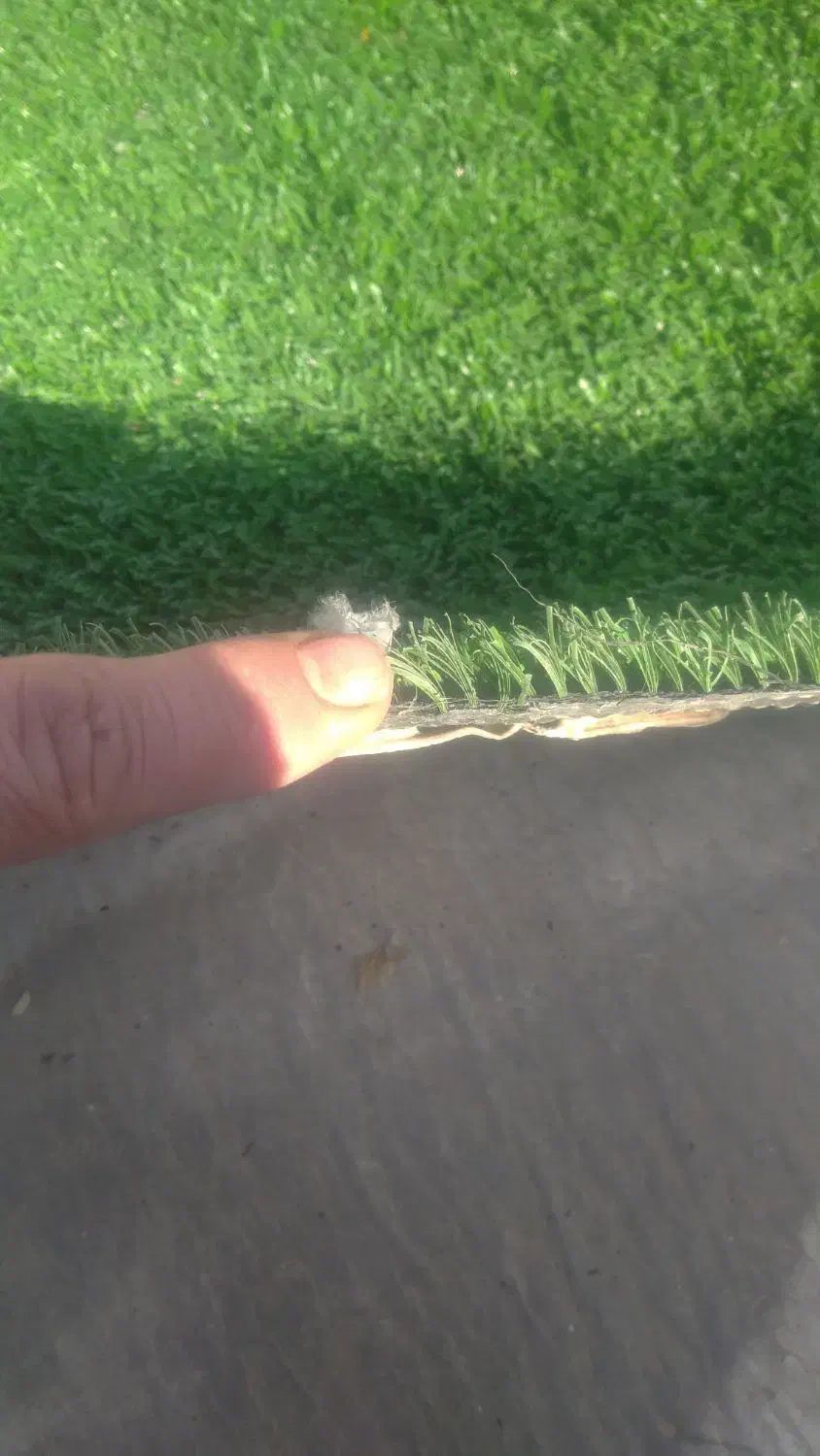 چمن مصنوعی درحدنو|مصالح و تجهیزات ساختمان|شیراز, کوشک میدان|دیوار