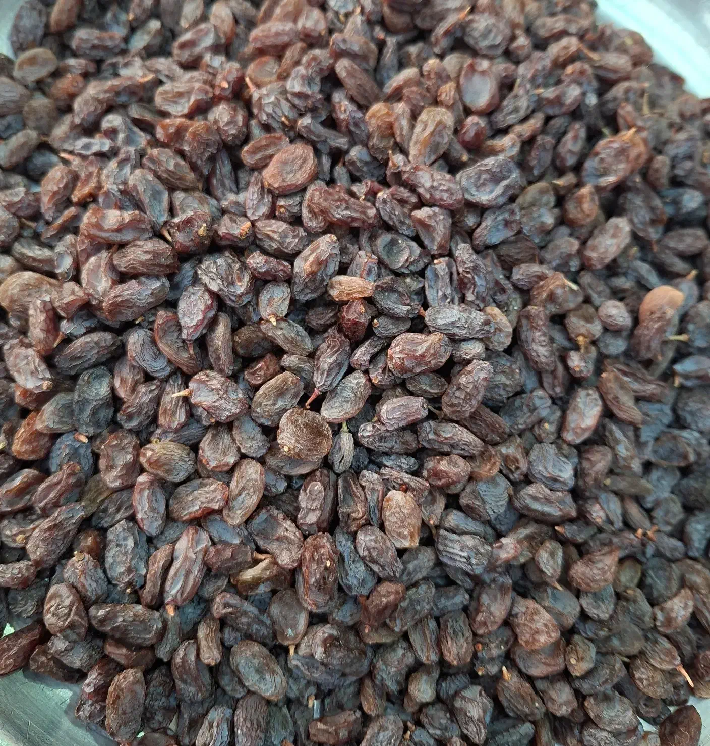 کشمش بوانات|خوردنی و آشامیدنی|شیراز, مسلم|دیوار