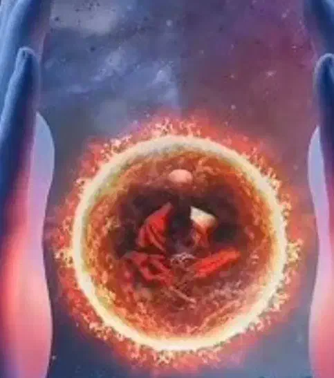 استاد صادقی هستم علوم غریبه|فعالیت داوطلبانه|خمینیشهر, |دیوار