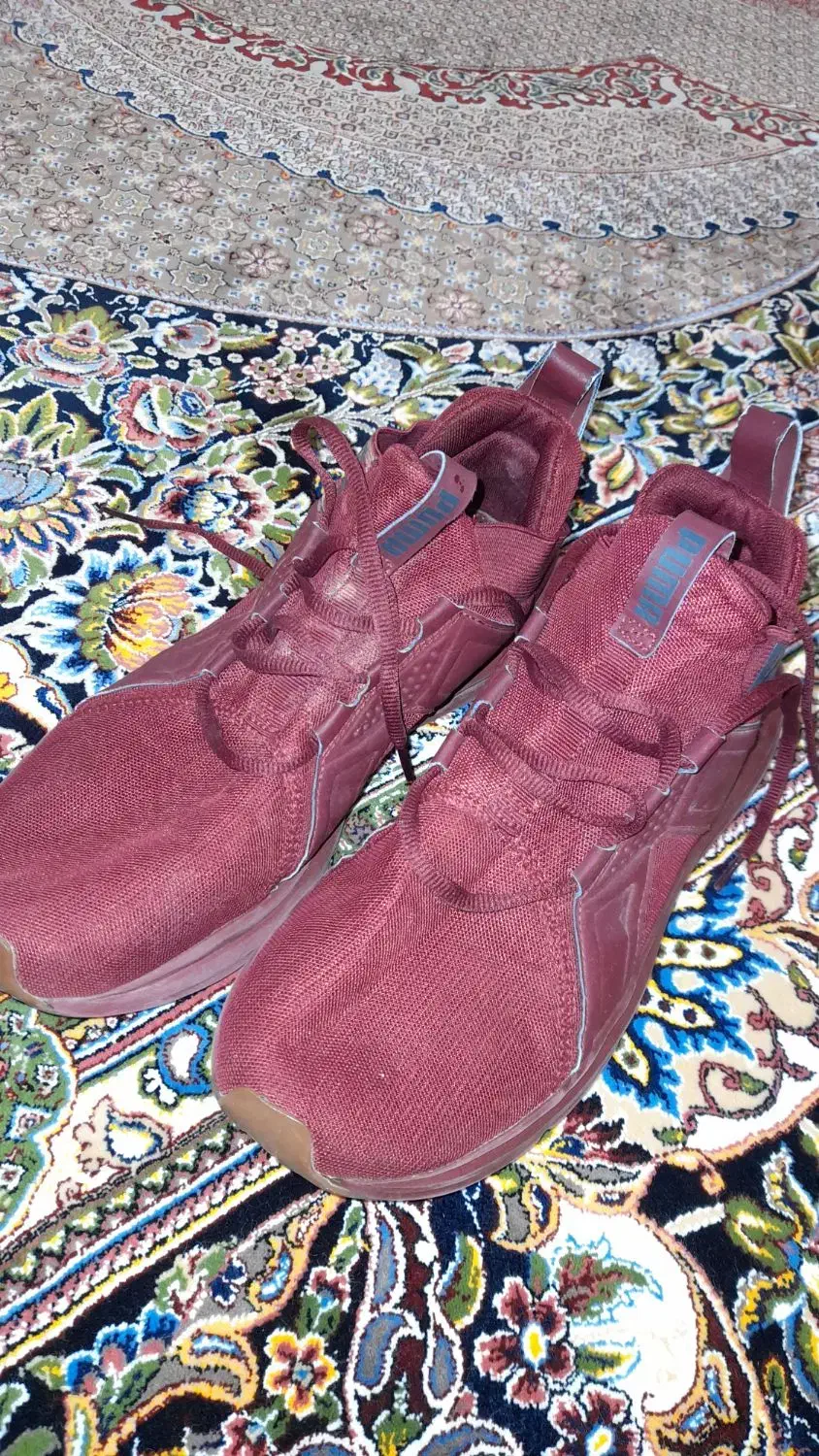 کتونی اورجینال puma|کیف، کفش، کمربند|اردبیل, |دیوار