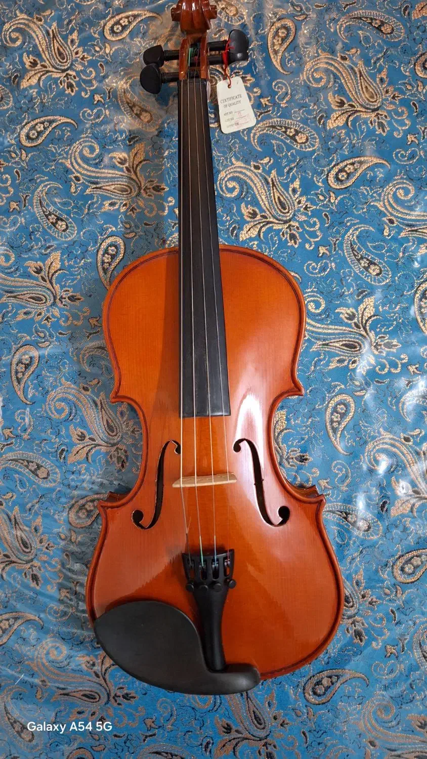 ویالون  MORETTI|ویولن|تهران, هروی|دیوار