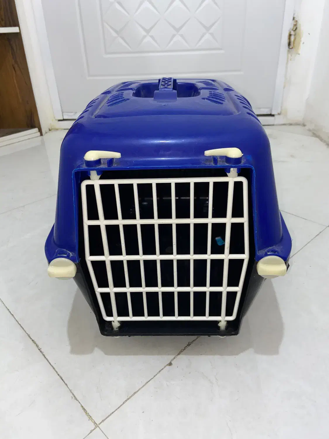 وسایل واجب گربه|لوازم جانبی حیوانات|مشهد, امیریه|دیوار