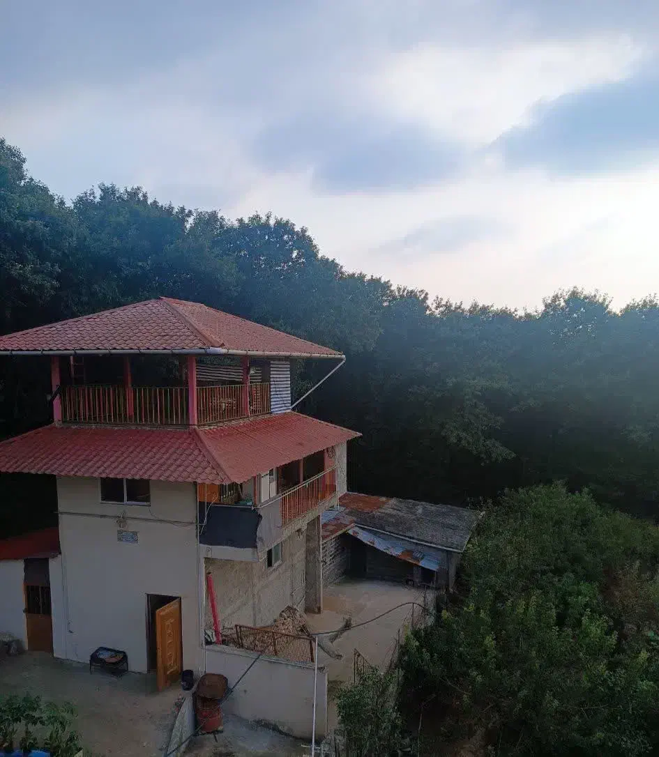 کلبه جنگلی سیکوتپه|اجارهٔ کوتاهمدت ویلا و باغ|ساری, |دیوار