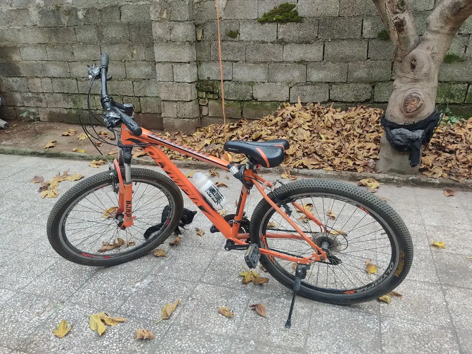 دوچرخه سایز ۲۶ المپیا|دوچرخه، اسکیت، اسکوتر|رشت, نظری|دیوار