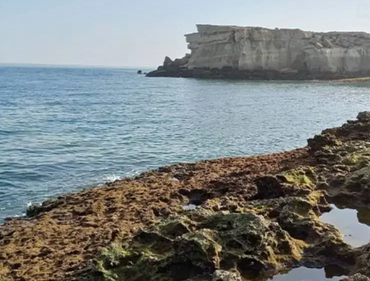 فروش ملک و زمین در طبل و سلخ|فروش زمین و ملک کلنگی|قشم, |دیوار