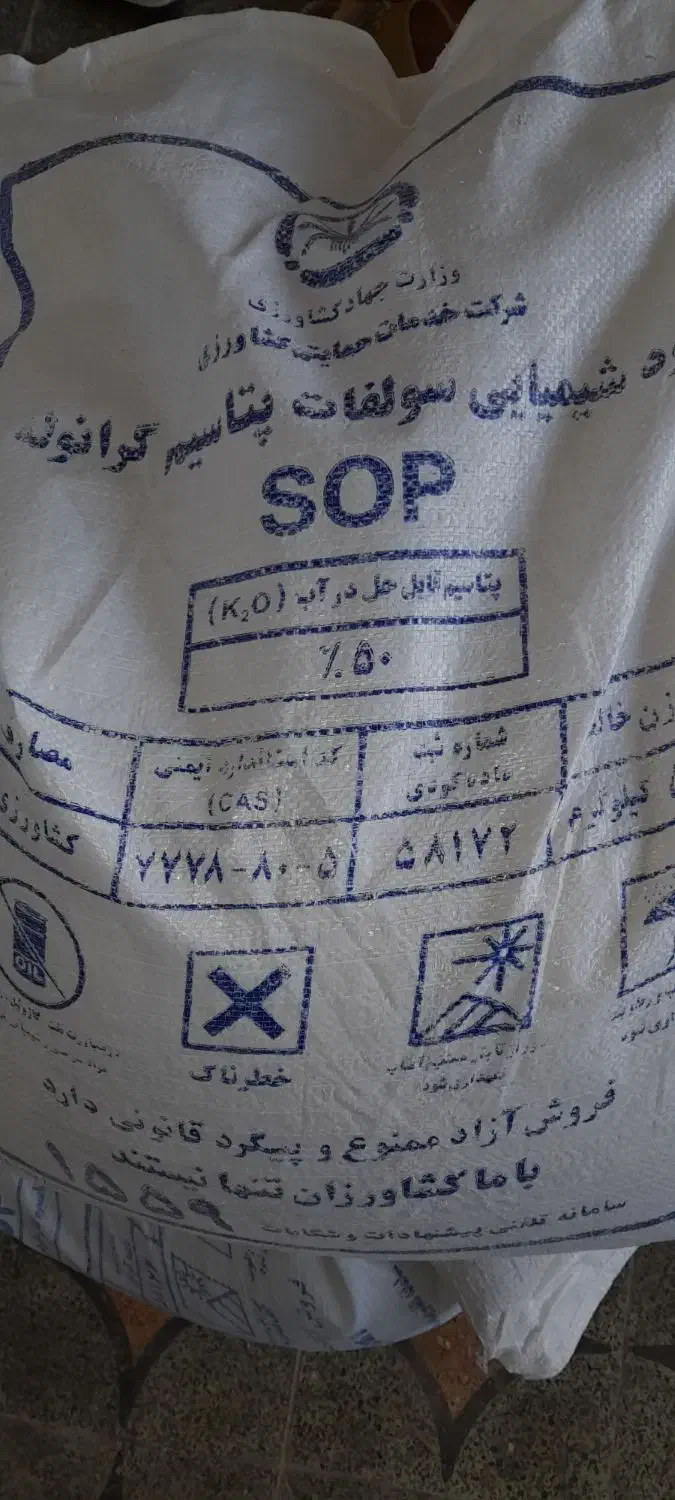 فروش پتاسه|خدمات باغبانی و درختکاری|رامشیر, |دیوار