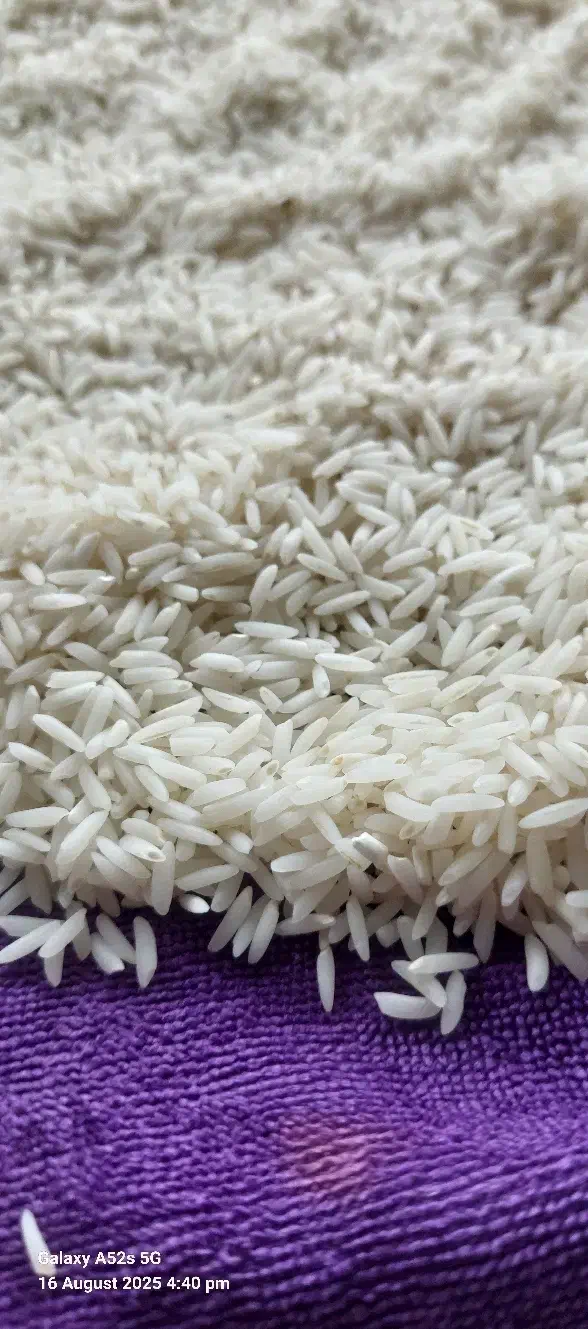 برنج طارم هاشمی|خوردنی و آشامیدنی|بابل, |دیوار