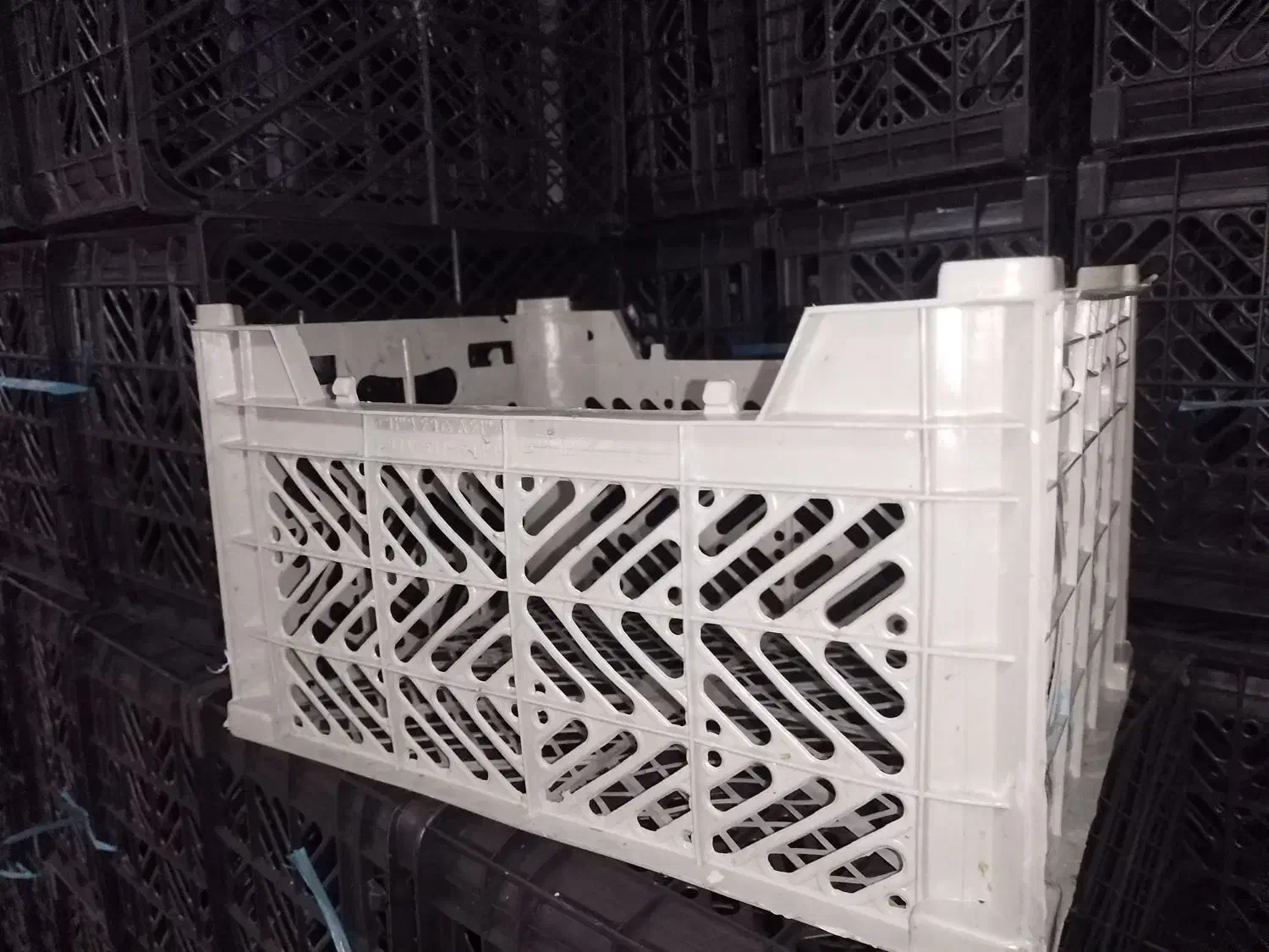 تولیدی سبد میوه(گوجه)|ظروف نگهدارنده، پلاستیکی، یک‌بارمصرف|طسوج, |دیوار