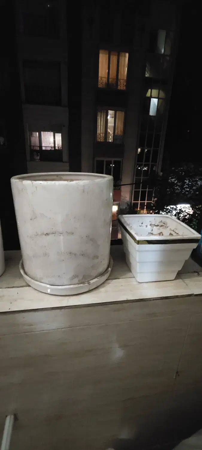 گلدان چینی|گل و گیاه طبیعی|تهران, دولاب|دیوار