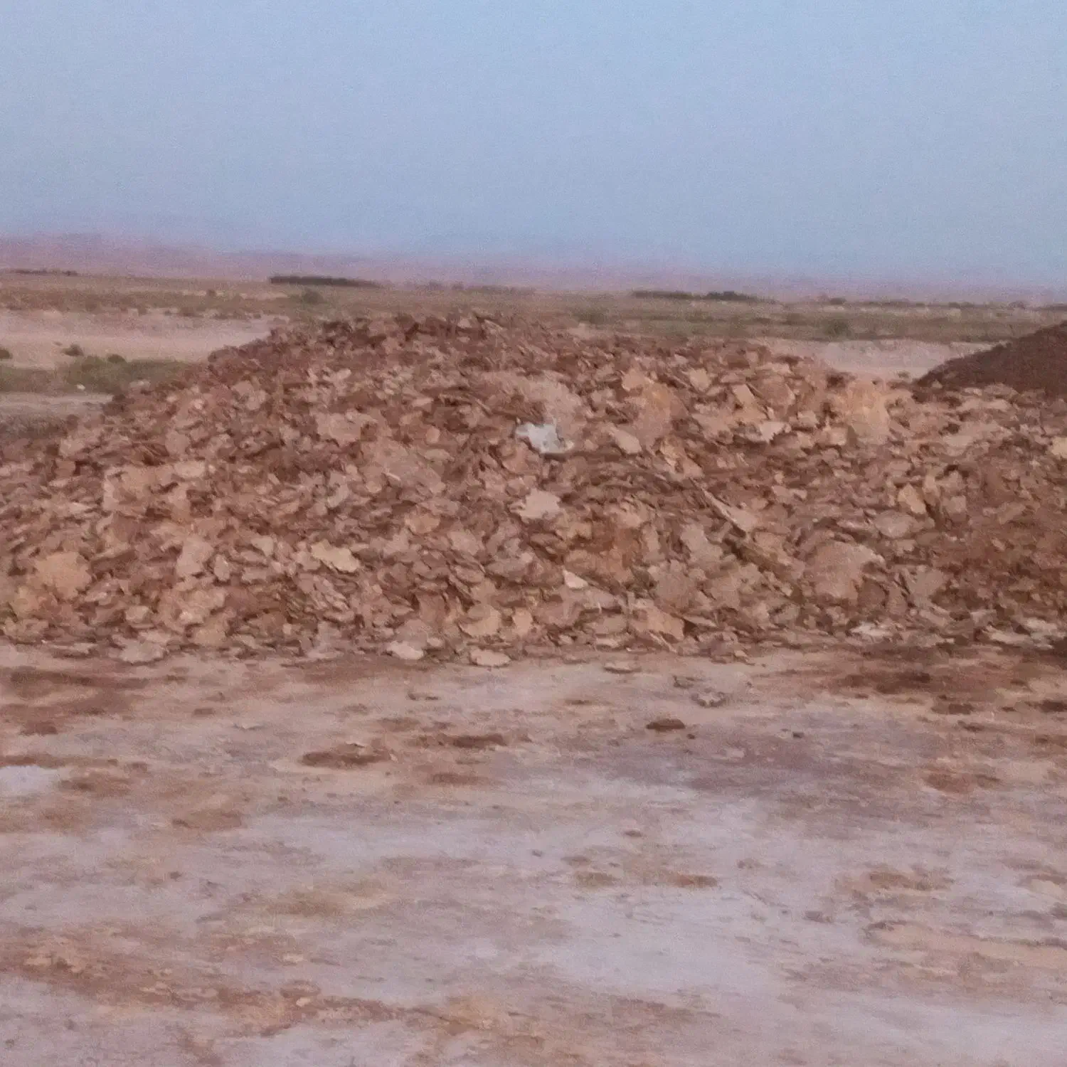 فضولات مرغ سالن|خدمات باغبانی و درختکاری|آبادان, |دیوار