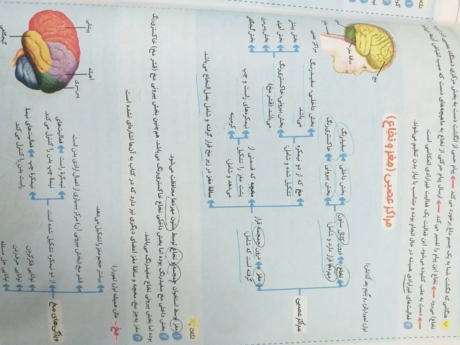 کتاب کار علوم هشتم|کتاب و مجله آموزشی|قم, امامزاده ابراهیم|دیوار