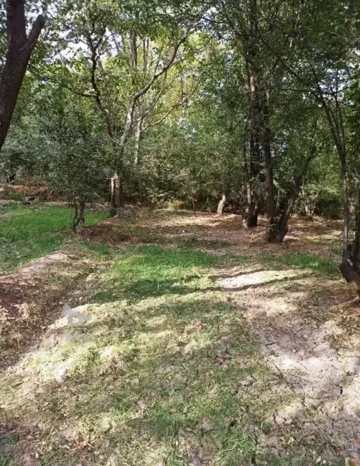 ۷۰۰ متر زمین فردو با پروانه|فروش زمین و ملک کلنگی|قم, بنیاد|دیوار