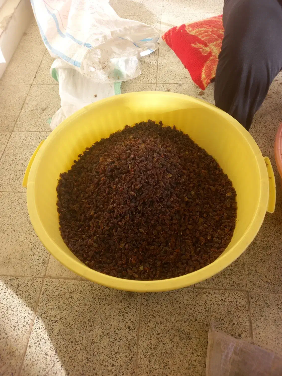 کشمش اصل آفتابی اورگانیک خون ساز|خوردنی و آشامیدنی|هشتگرد, شهرک گلها|دیوار