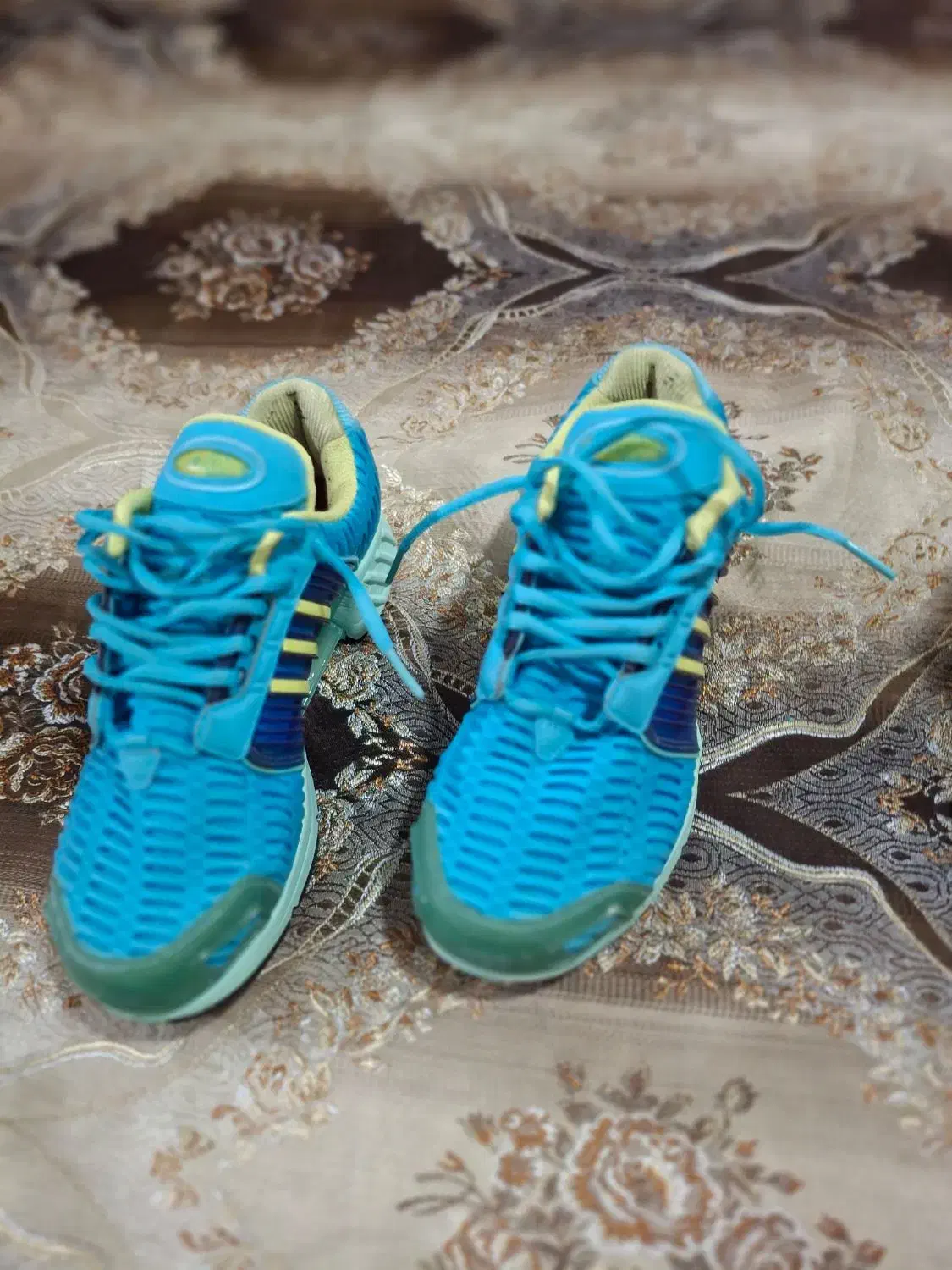 کفش سالامون و آدیداس اورجینال مخصوص کوه و باشگاه|کیف، کفش، کمربند|رباط‌کریم, رباط‌کریم|دیوار