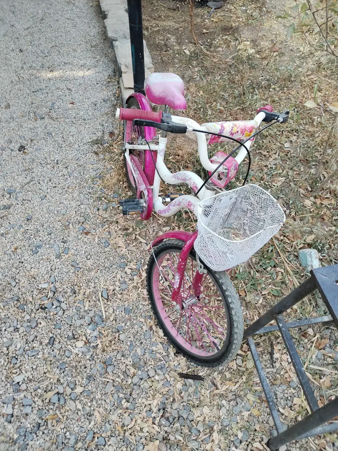 زیر قیمت حراج|دوچرخه، اسکیت، اسکوتر|کبودرآهنگ, |دیوار