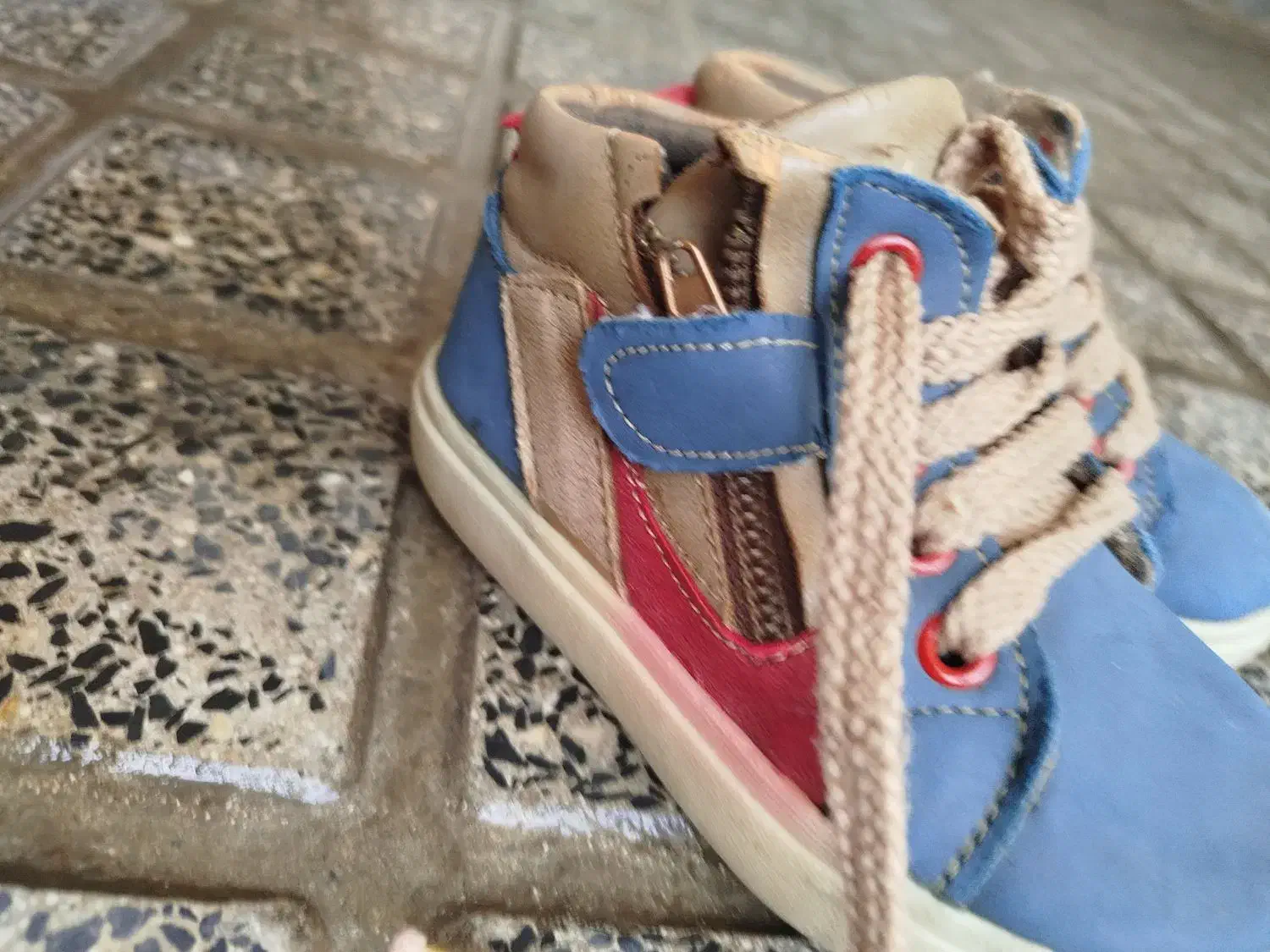 کفش|کیف، کفش، کمربند|ملایر, |دیوار