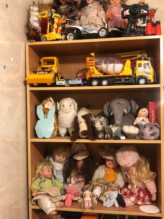 کمد و کتابخانه|کتابخانه، شلف، قفسههای دیواری|تهران, سلیمانی|دیوار