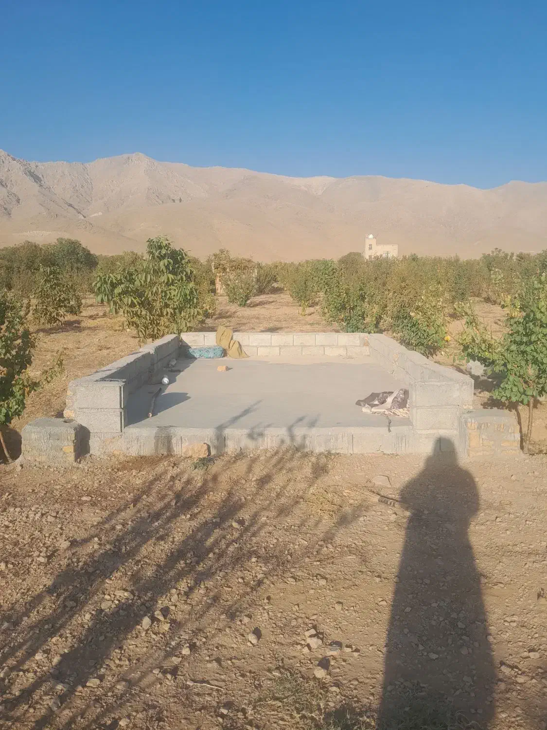 باغ میوه|فروش دفتر صنعتی، کشاورزی، تجاری|نهاوند, |دیوار