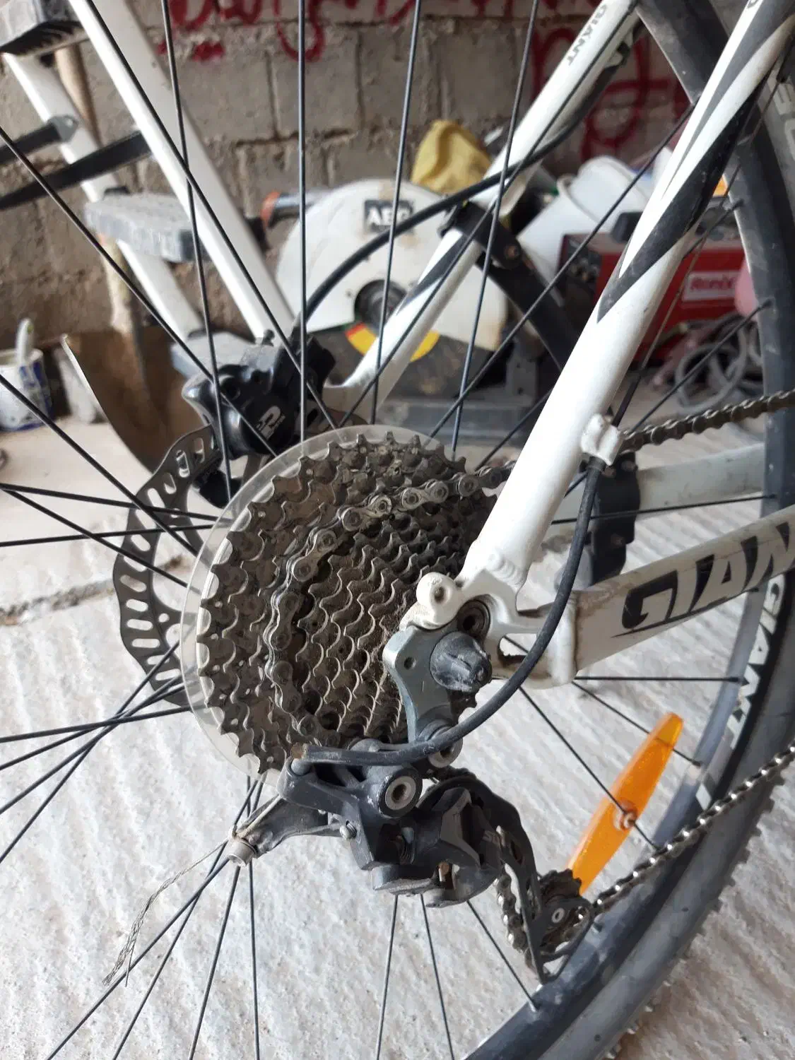 دوچرخه جاینت تالون ۲۹|دوچرخه، اسکیت، اسکوتر|بوکان, |دیوار