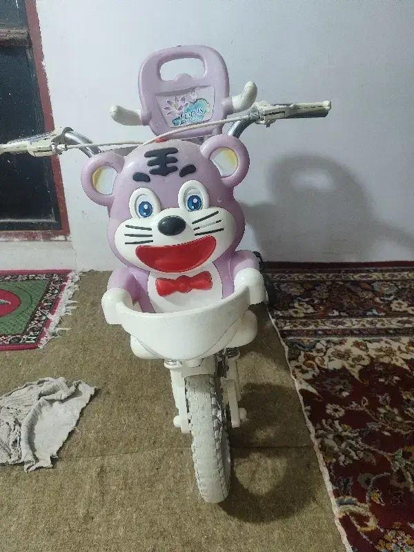 دوچرخه دختران 12|دوچرخه، اسکیت، اسکوتر|پاکدشت, حصار امیر|دیوار