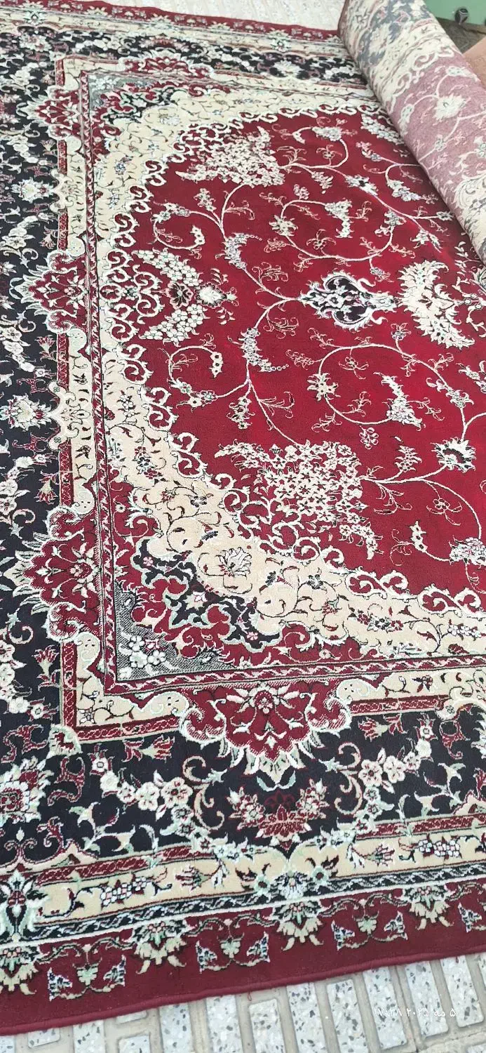 فرش۱۲متری|فرش|شاهرود, |دیوار