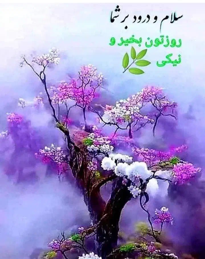 خیریه (عطر نجف)|فعالیت داوطلبانه|مشهد, نوید|دیوار