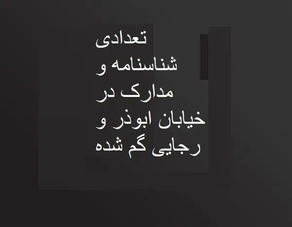 مدارک گم شده به نام نارویی جوان|اشیا|زاهدان, |دیوار