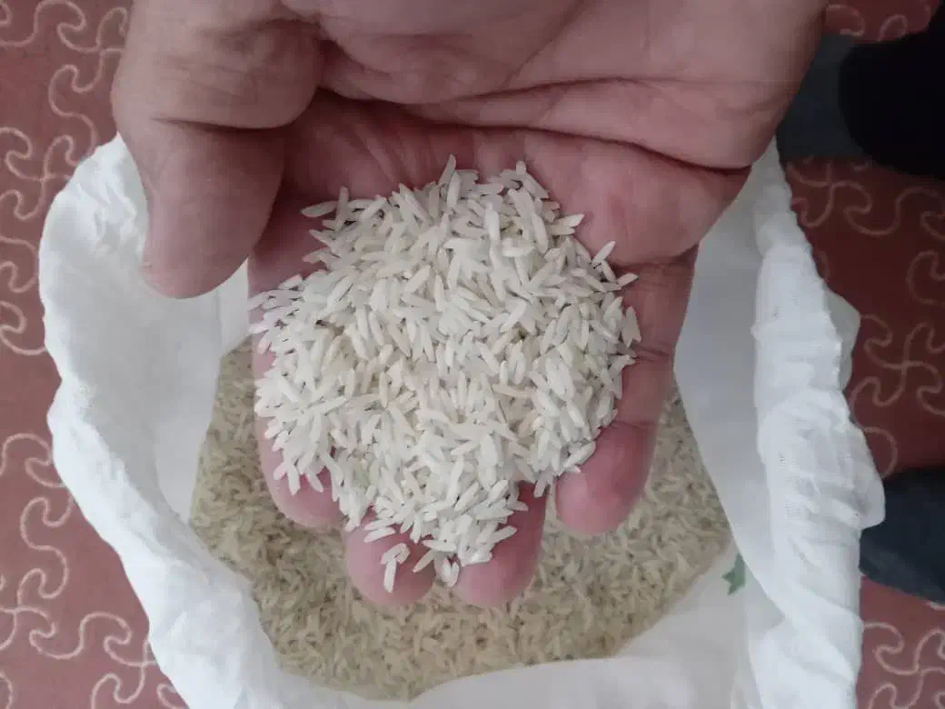 برنج هاشمی درجه یک|خوردنی و آشامیدنی|هشتگرد, هیو|دیوار