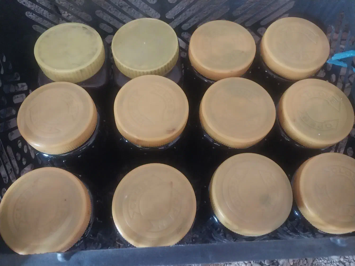 رب شل اناروانجیرخشک درجه یک|خوردنی و آشامیدنی|تهران, خاک سفید|دیوار