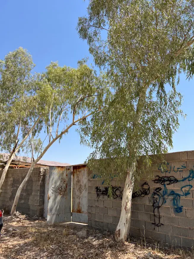 باغ 2200 متری با انشعابات کامل|فروش زمین و ملک کلنگی|شیراز, شهرک گلدشت حافظ‎|دیوار