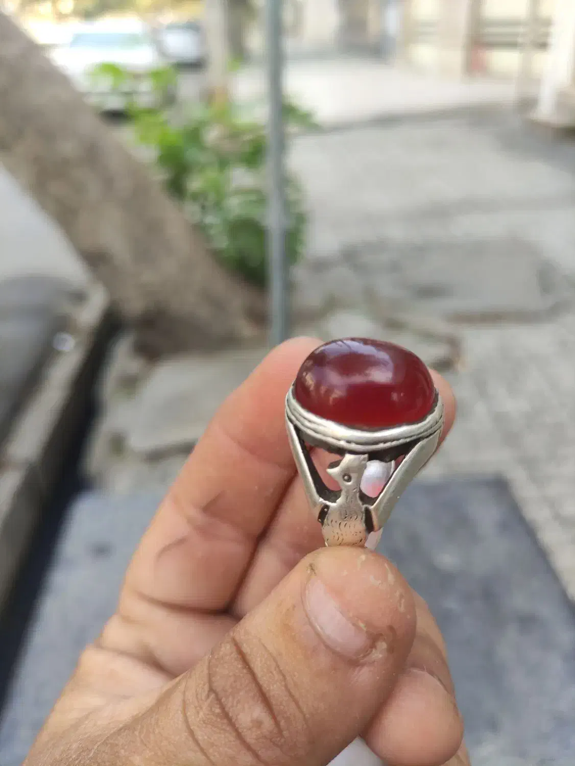 انگشتر|جواهرات|گنبد کاووس, |دیوار