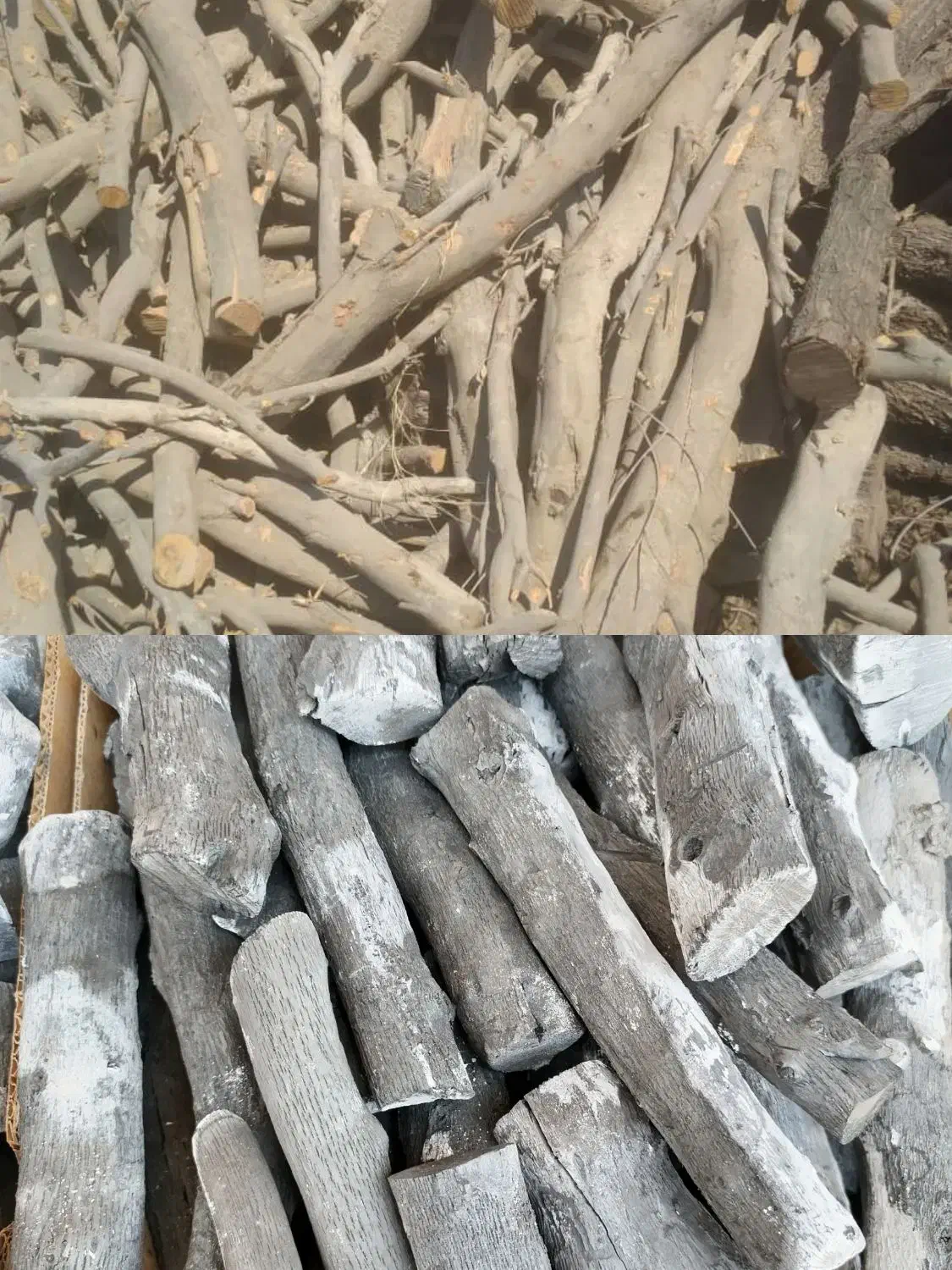 چوب|خدمات باغبانی و درختکاری|شیراز, حومه شیراز|دیوار