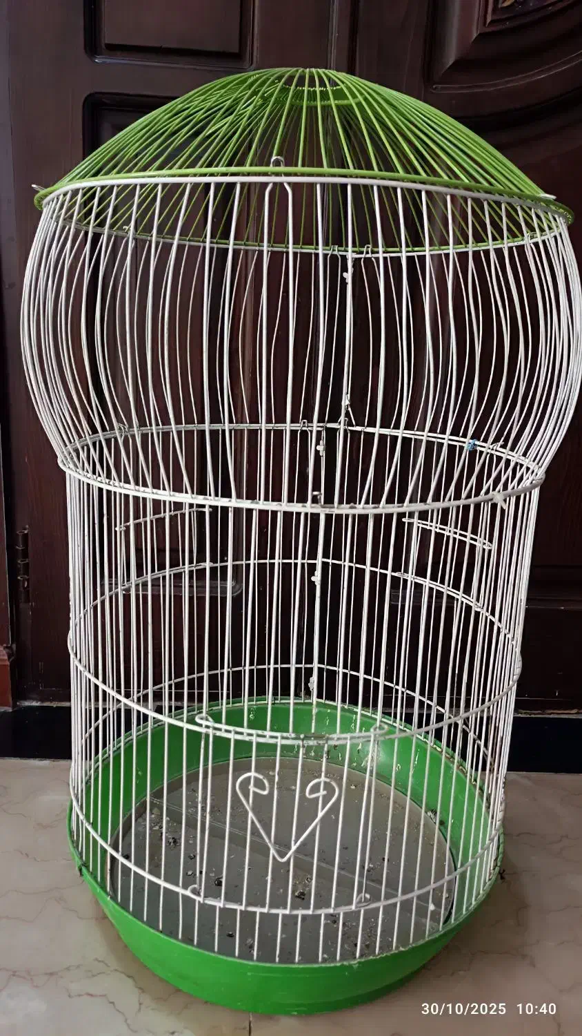 قفس پرنده با وسایل پرنده|لوازم جانبی حیوانات|سبزوار, کوی بهار|دیوار