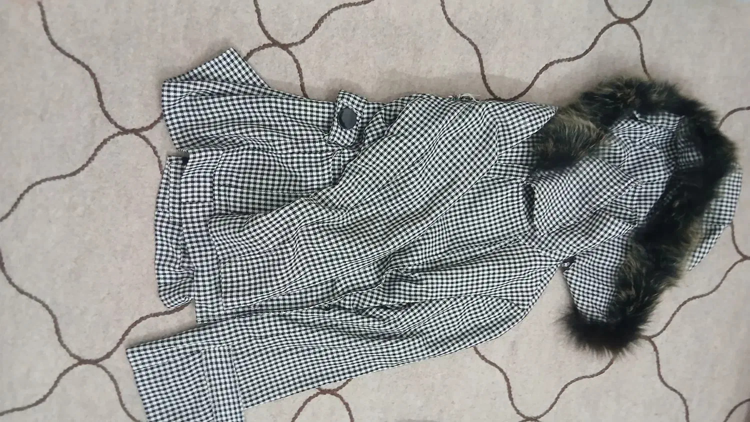 پالتو و کاپشن|لباس|اراک, |دیوار