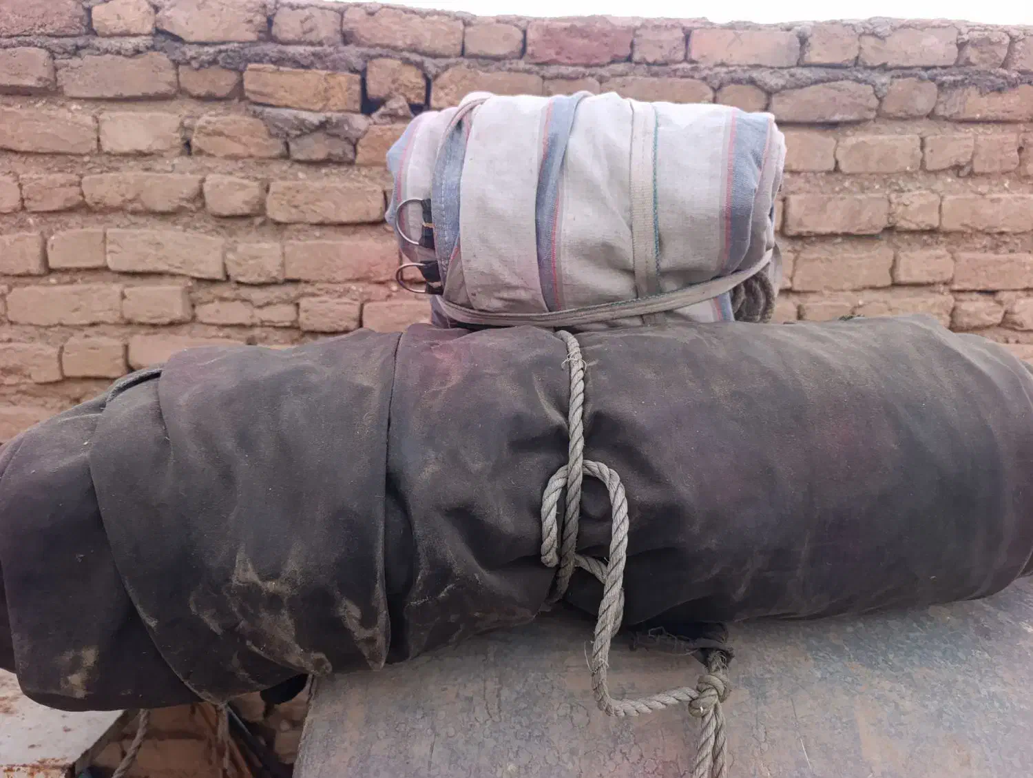 شل گیر الوند|عمده‌فروشی|مرودشت, تخت جمشید|دیوار