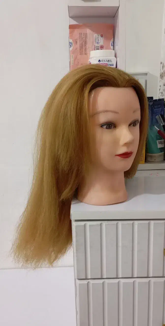 مانکن آرایشگری|آرایشی، بهداشتی، درمانی|ارومیه, |دیوار