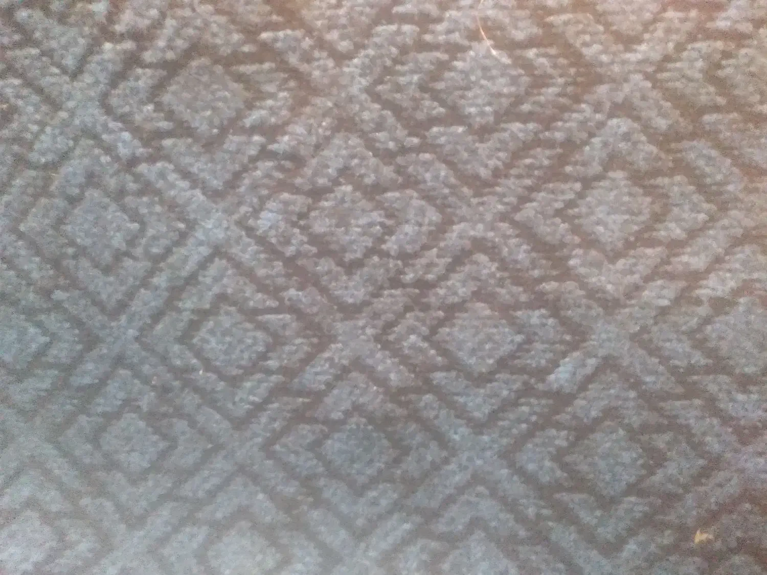 موکت یا زیر فرش|موکت|گرگان, |دیوار