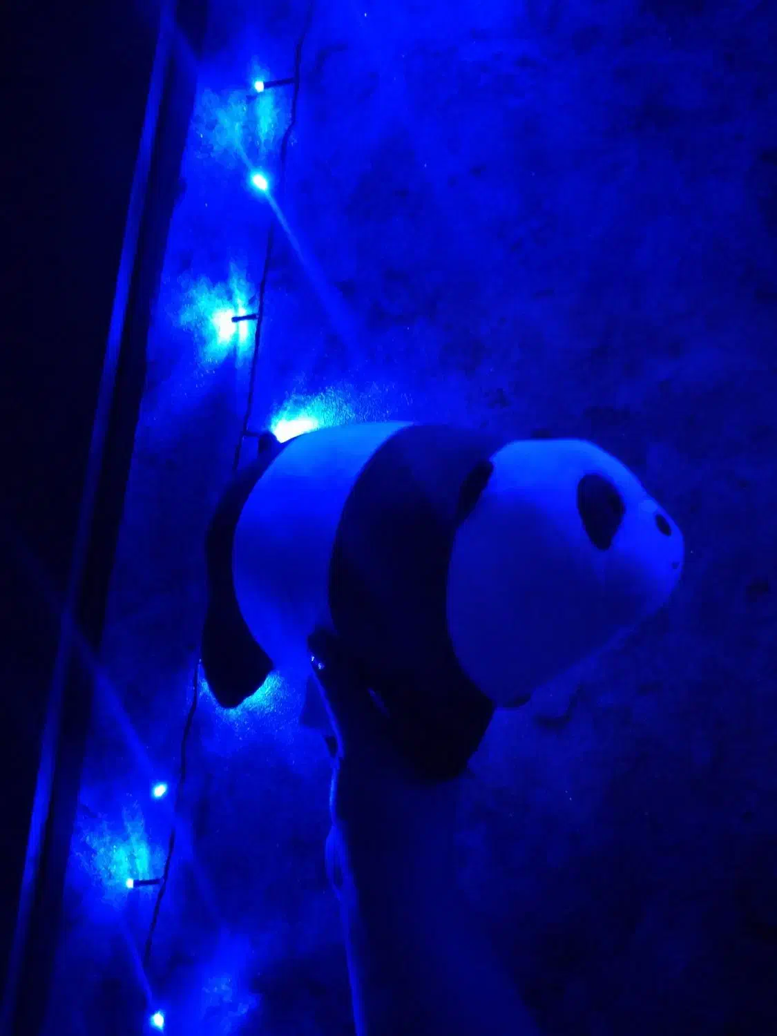 عروسک پاندا|اسباببازی|فولادشهر, مسکن مهر فولادشهر|دیوار