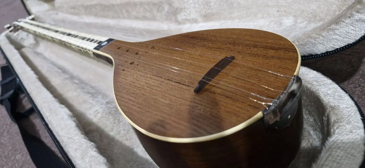 سه تارحرفه ای کاسه کوچک|سازهای سنتی|تهران, نیاوران|دیوار