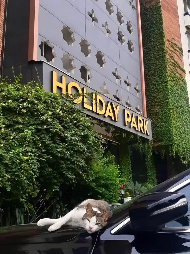 استخدام خدماتی در هتل شمال(با خوابگاه و۳وعده غذا)|استخدام سرایداری و نظافت|فردیس, فردیس|دیوار