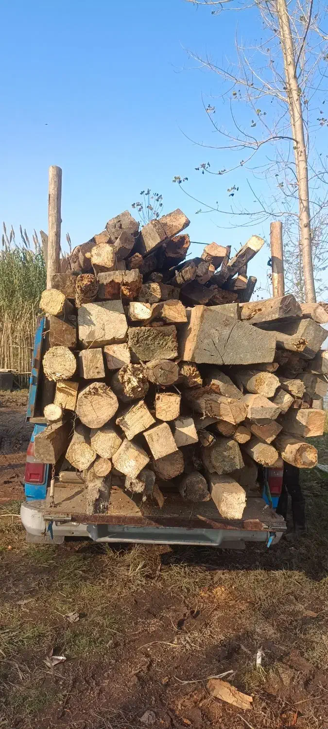 خرید چوبهای ساختمانی|مصالح و تجهیزات ساختمان|آستانه اشرفیه, |دیوار